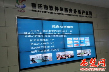 软件外包服务 连接市软件与服务外包产业园与知创产业园的创新纽带